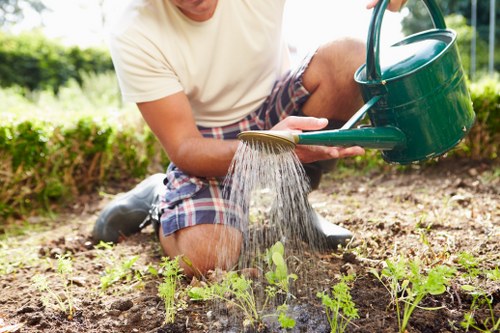 Photograph of a landscaped garden showing service details